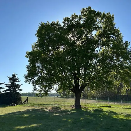 Naturblick בית נופש Drahnsdorf