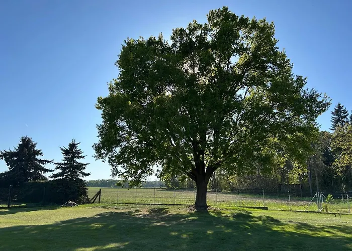Naturblick Tatil Evi Drahnsdorf